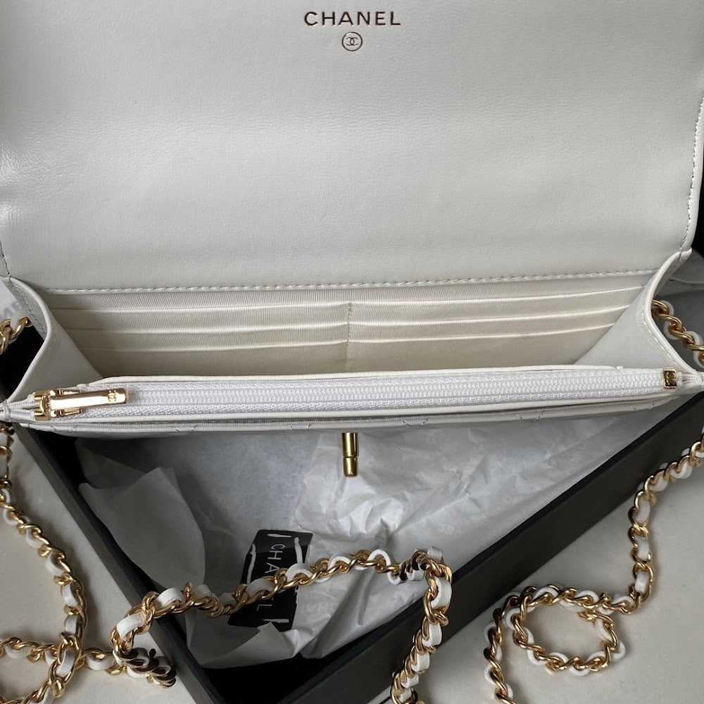 new-luxury-designer-bags-nm20648