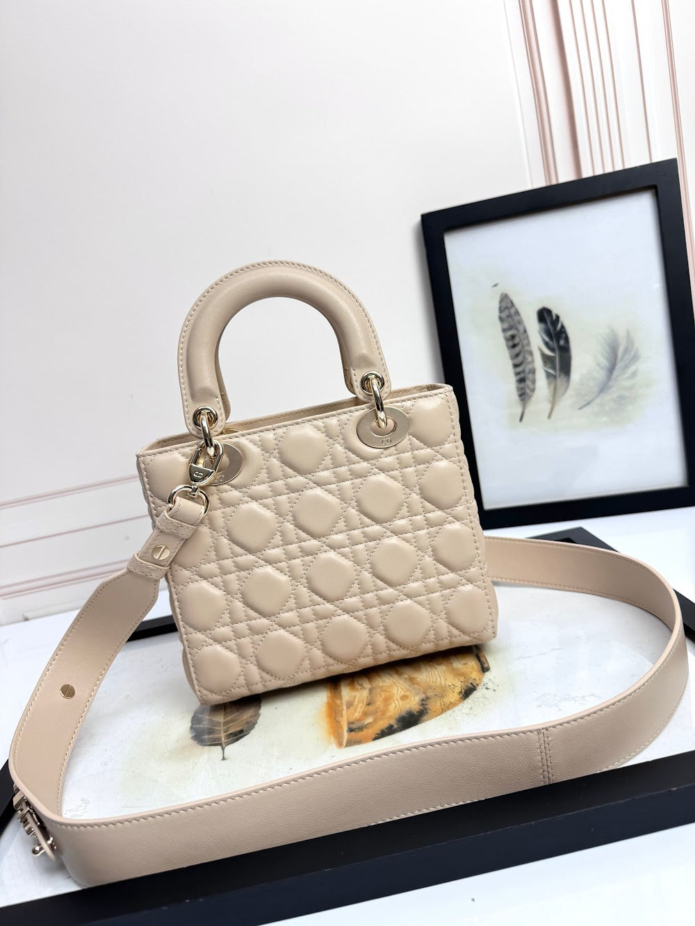 Anum Bags Diorn Luxury Bag --114949