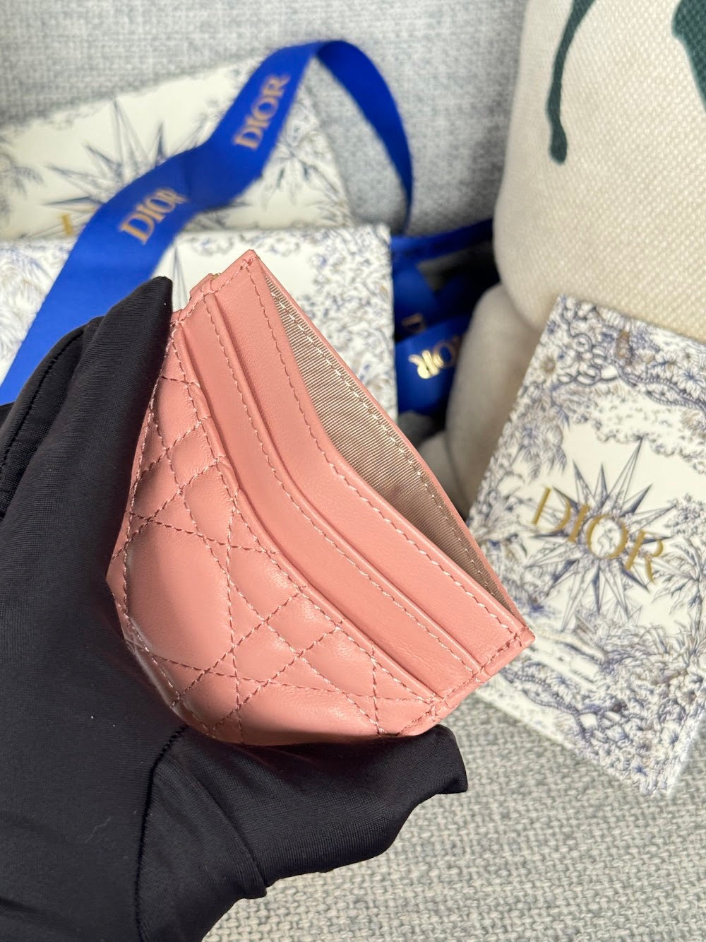 Anum Bags Diorn Luxury Bag --114681