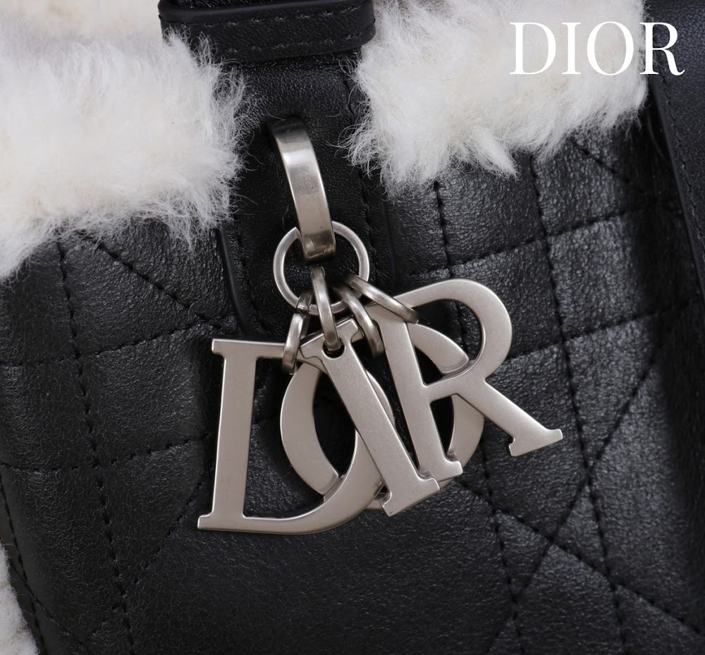 Anum Bags Diorn Luxury Bag --114889