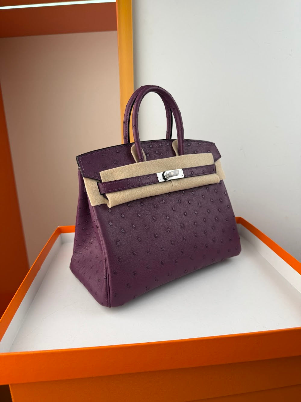 Anum Bags Hermesn Luxury Bag --116760