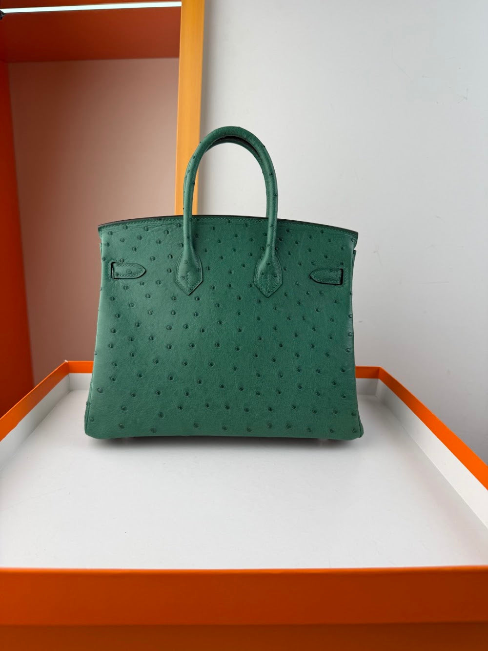 Anum Bags Hermesn Luxury Bag --116764