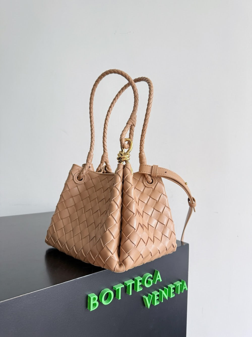 Ezyycart Bags Bottegan Luxury Bag --91118