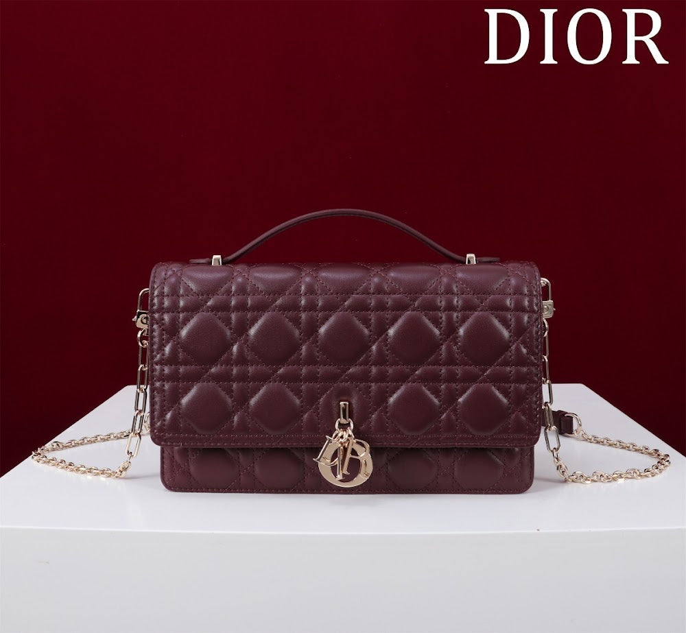 Ezyycart Bags Diorn Luxury Bag --116301