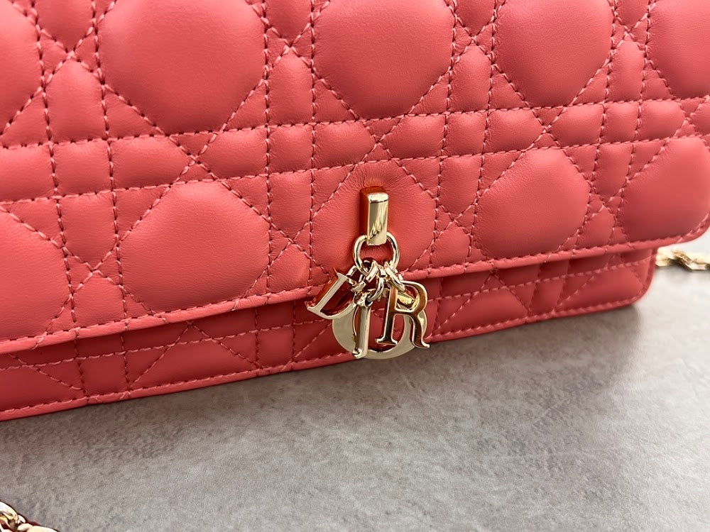 new-designer-premium-bags-nm16245