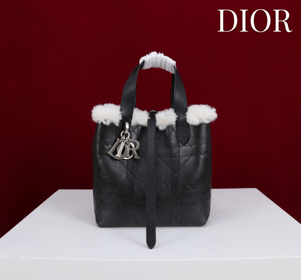 Anum Bags Diorn Luxury Bag --114886
