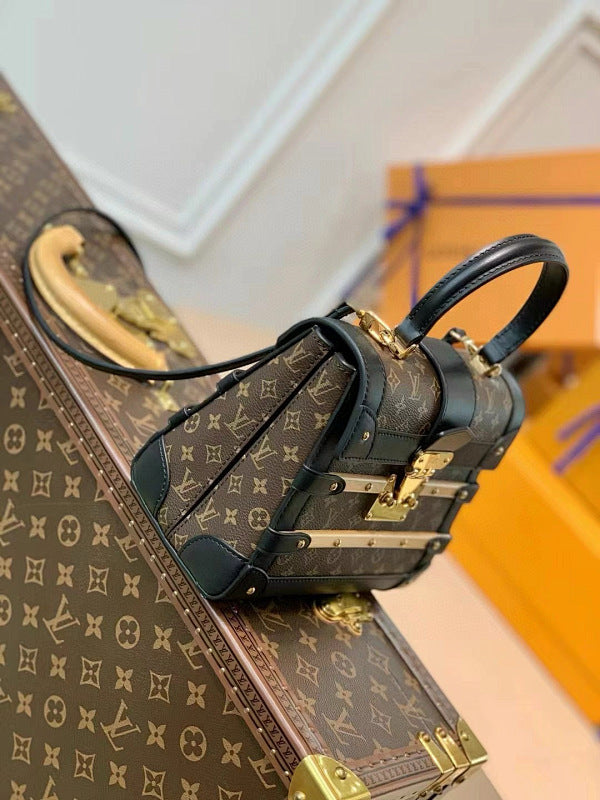 Anum Bags LVn Luxury Bag --79387