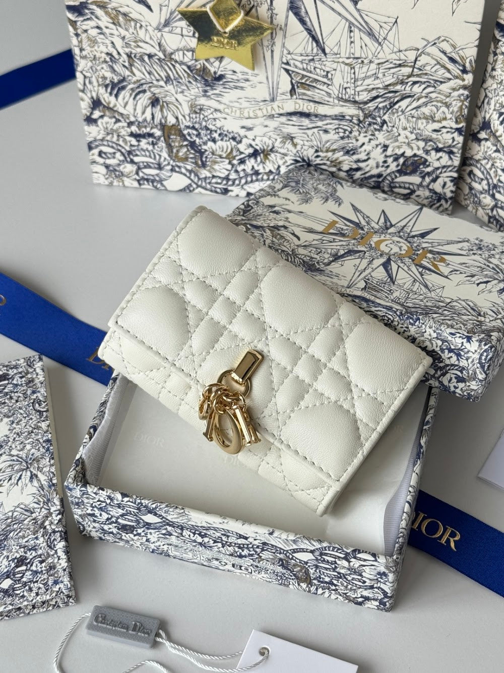 Anum Bags Diorn Luxury Bag --114483