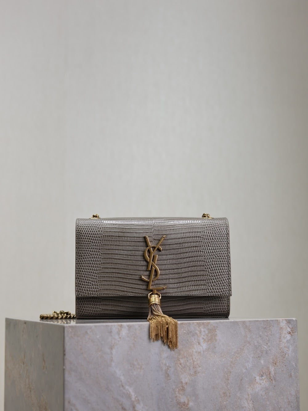 Ezyycart Bags YSLn Luxury Bag --119164