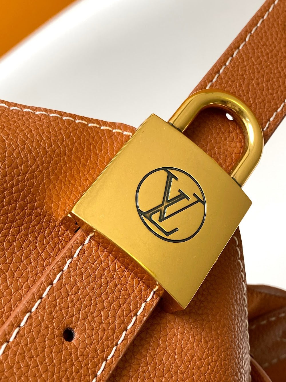 Anum Bags LVn Luxury Bag --80095