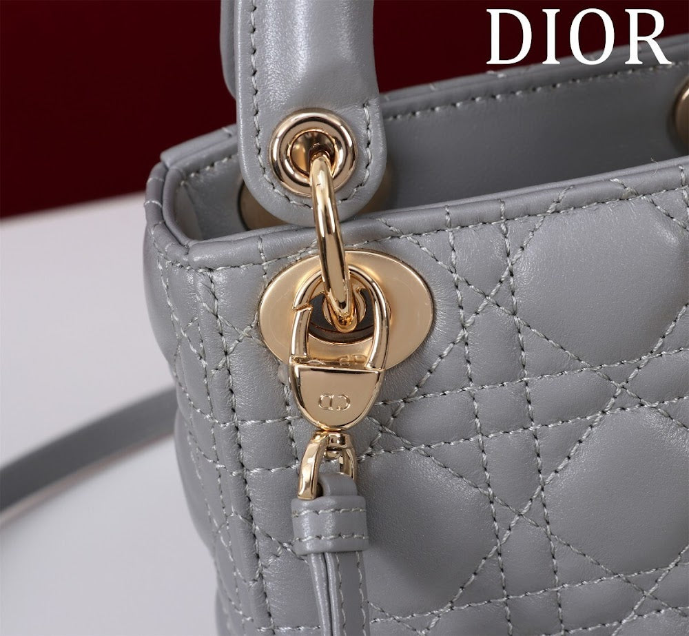 Ezyycart Bags Diorn Luxury Bag --116331