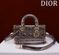 Anum Bags Diorn Luxury Bag --114741