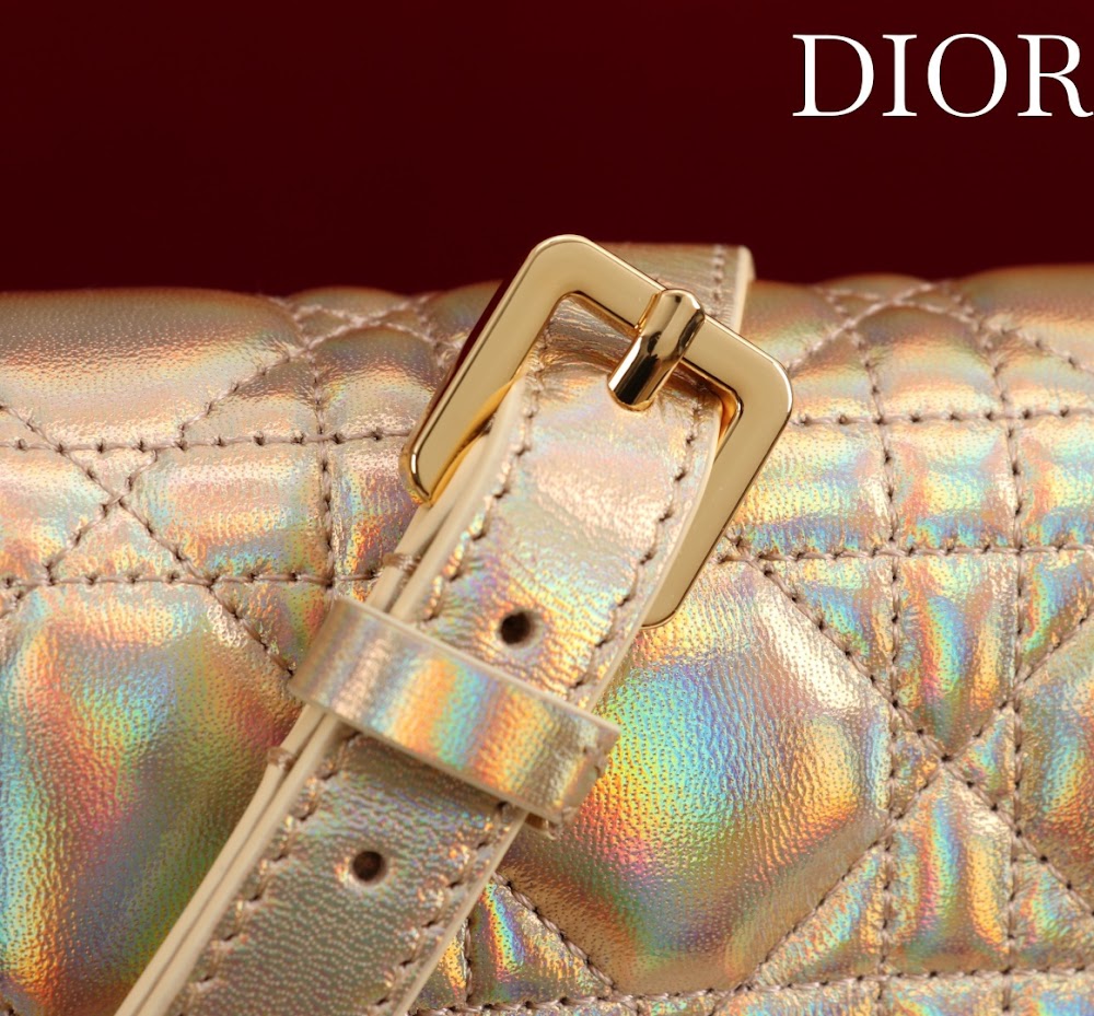 Ezyycart Bags Diorn Luxury Bag --116370