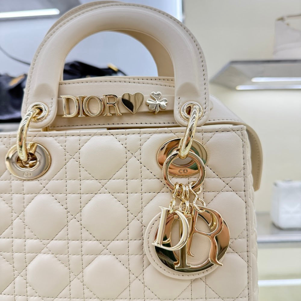 Anum Bags Diorn Luxury Bag --114446