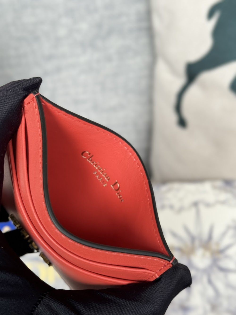Anum Bags Diorn Luxury Bag --114648