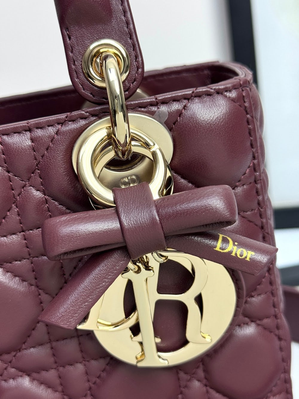 Anum Bags Diorn Luxury Bag --114945