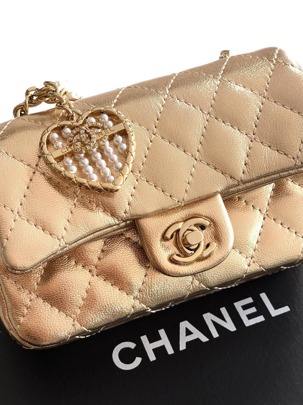 Anum Bags CHn Luxury Bag --112667
