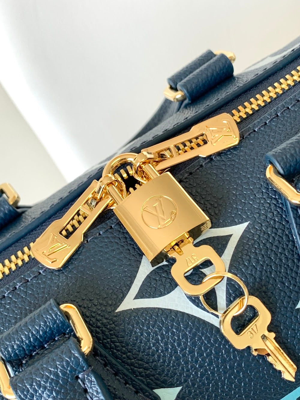 Anum Bags LVn Luxury Bag --81099