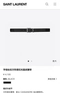 Ezyycart Bags YSLn Luxury Belt --107662