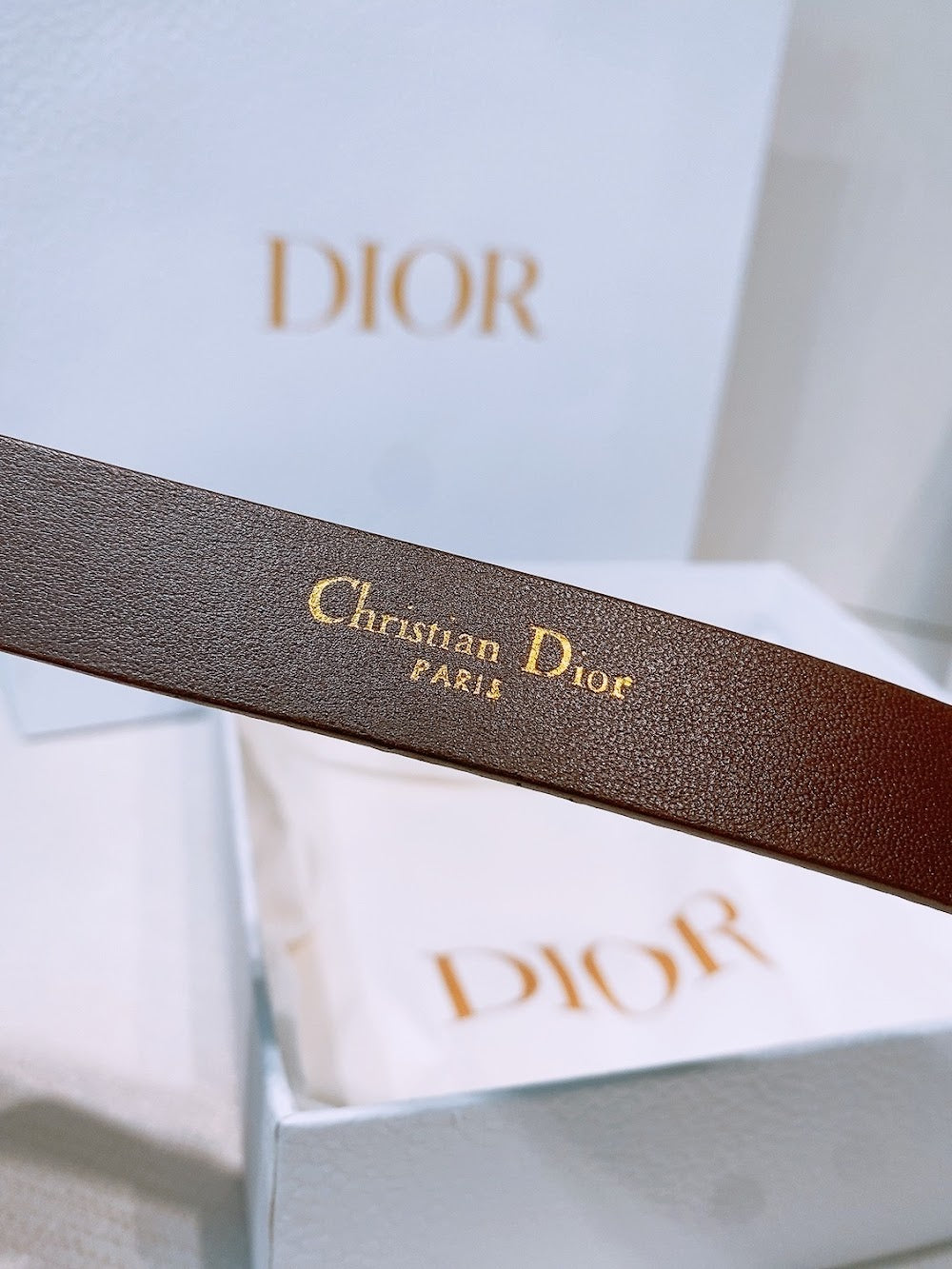 Anum Bags Diorn Luxury Belt --104870