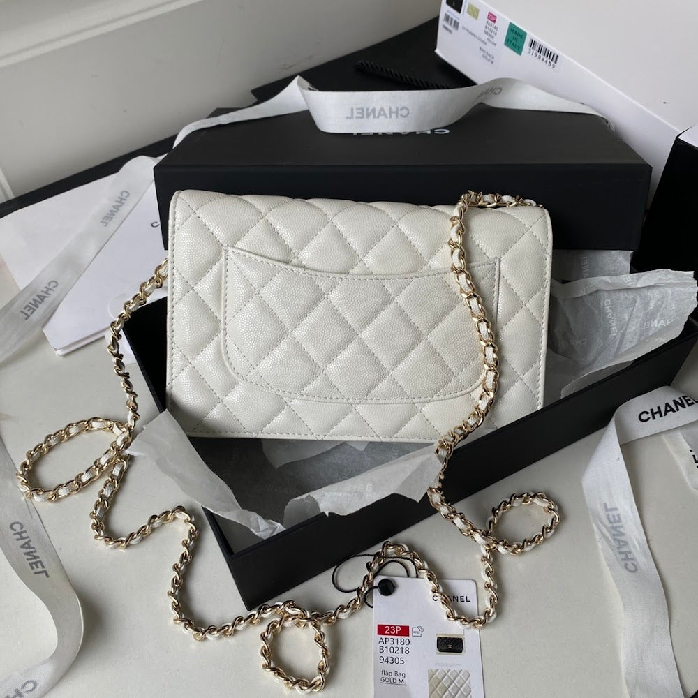 new-luxury-designer-bags-nm10042