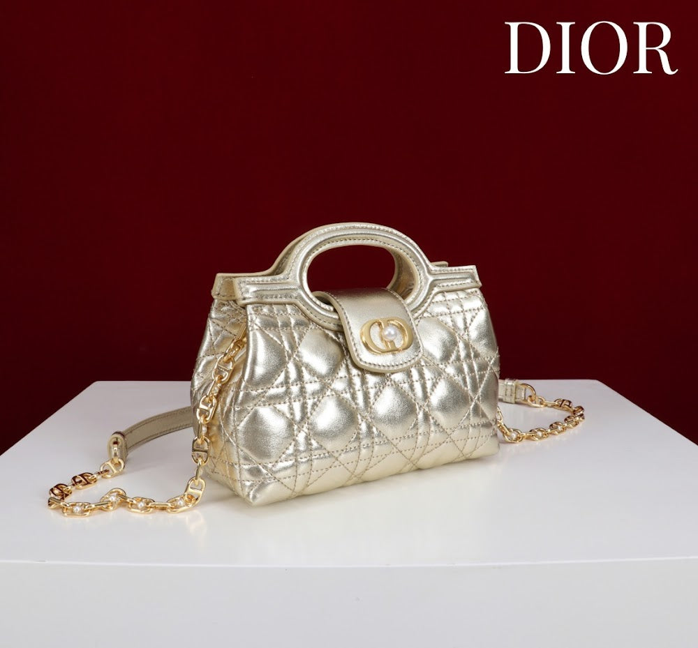 Anum Bags Diorn Luxury Bag --114557