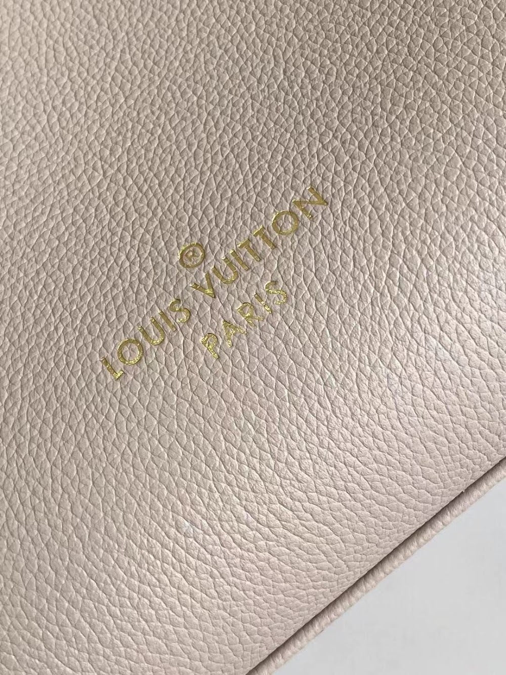 Anum Bags ln Luxury Bag --60496