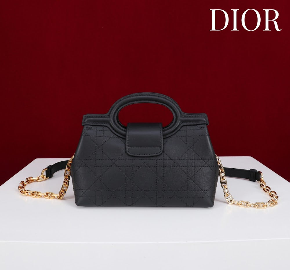 Anum Bags Diorn Luxury Bag --114445