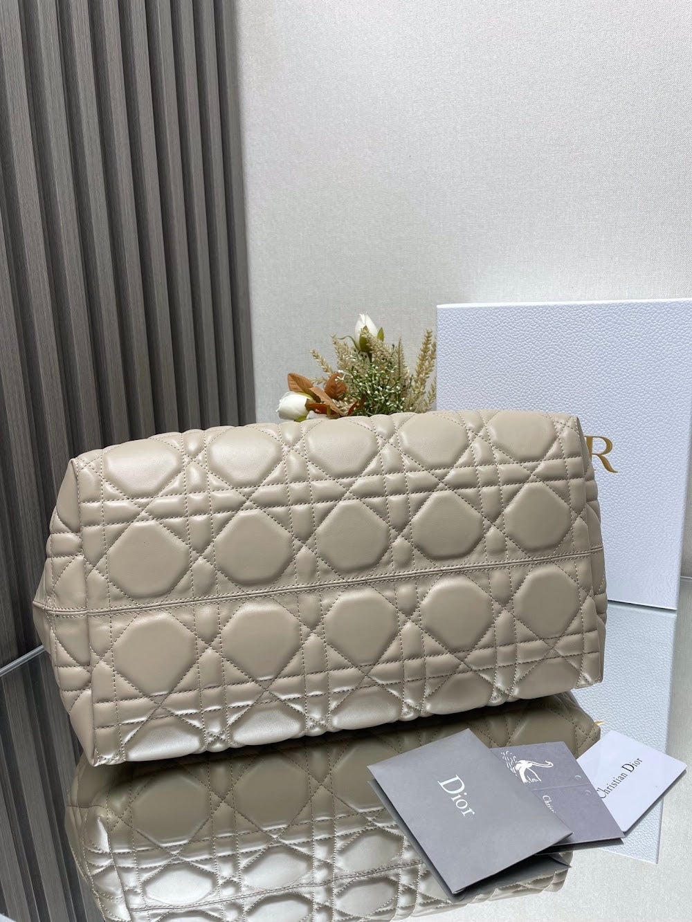 Ezyycart Bags Diorn Luxury Bag --116433