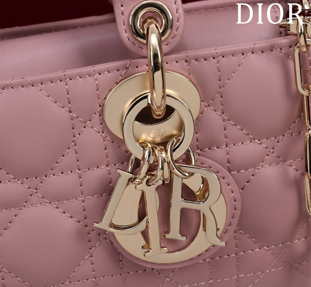 Anum Bags Diorn Luxury Bag --114749