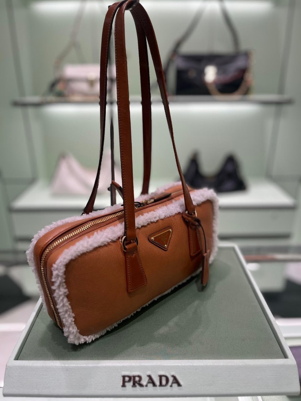 Ezyycart Bags Pradn Luxury Bag --102874