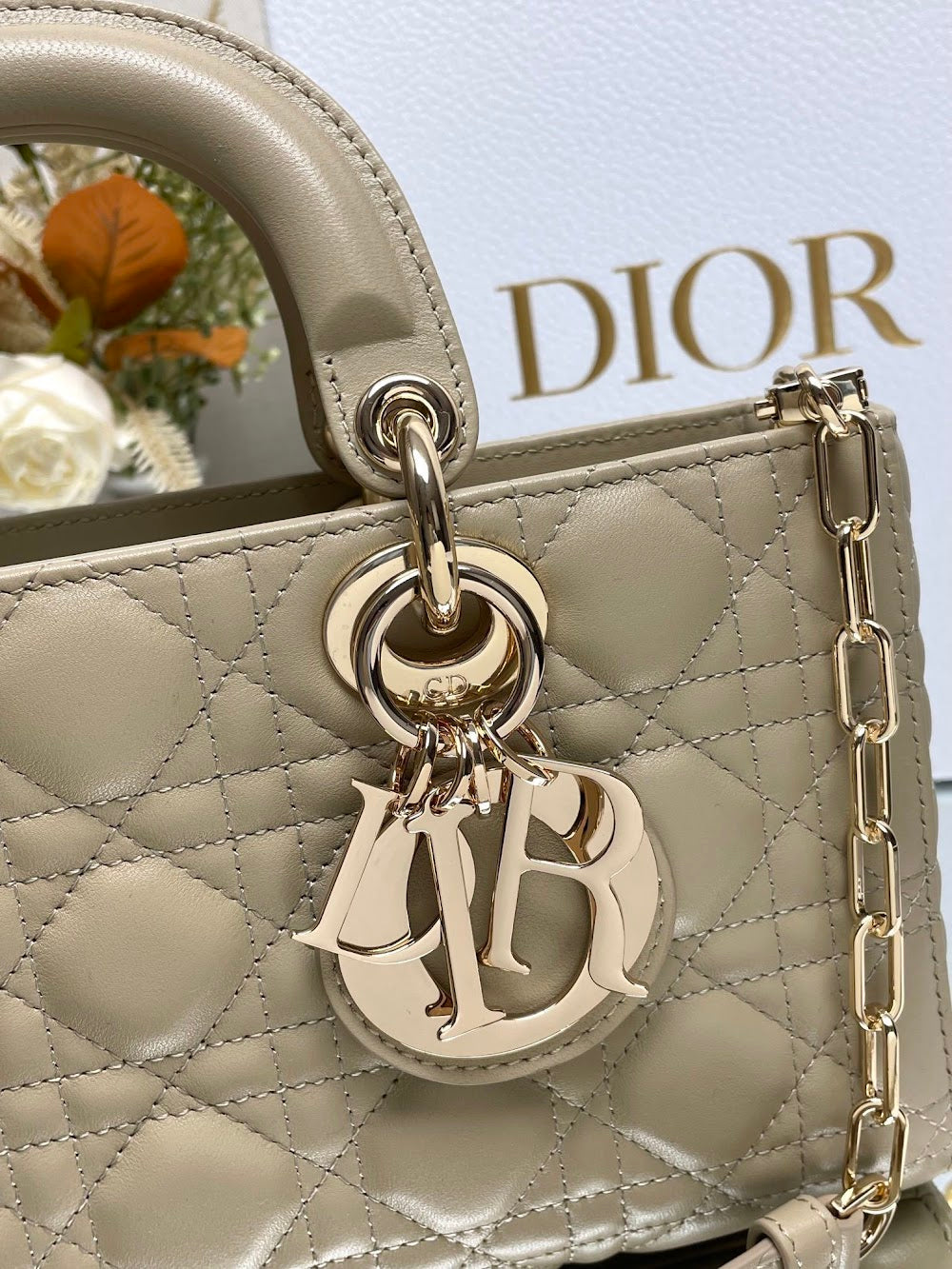 new-designer-premium-bags-nm15915