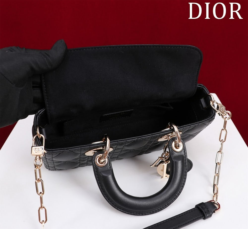 Anum Bags Diorn Luxury Bag --114714