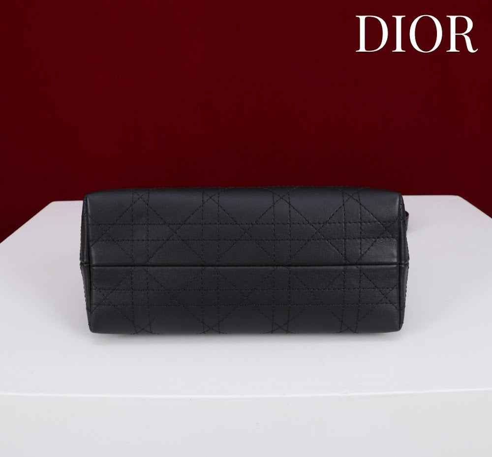 Anum Bags Diorn Luxury Bag --114445