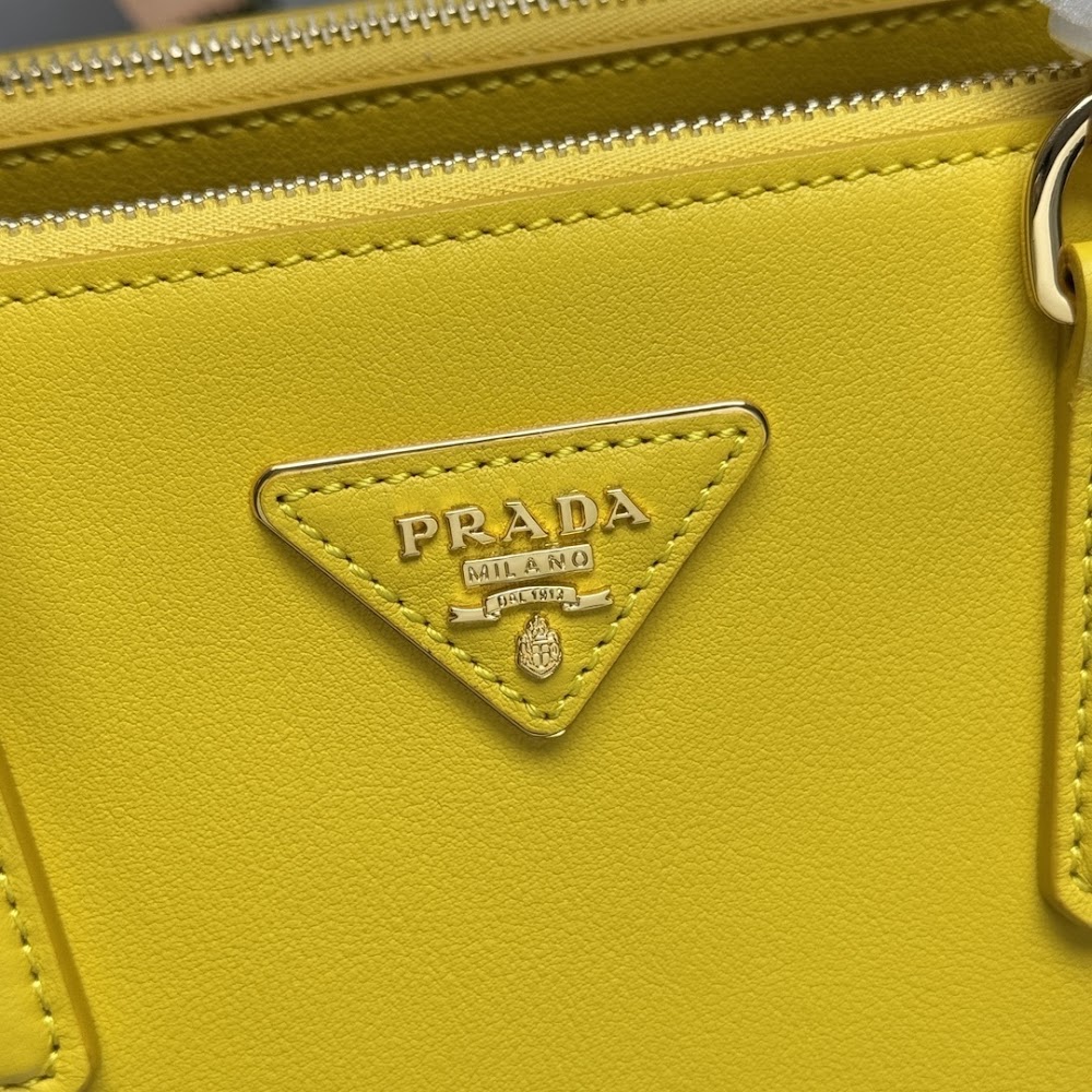 Ezyycart Bags Pradn Luxury Bag --102717