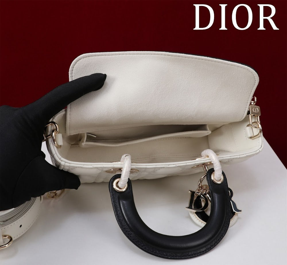 Anum Bags Diorn Luxury Bag --114845