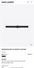 Ezyycart Bags YSLn Luxury Belt --110518