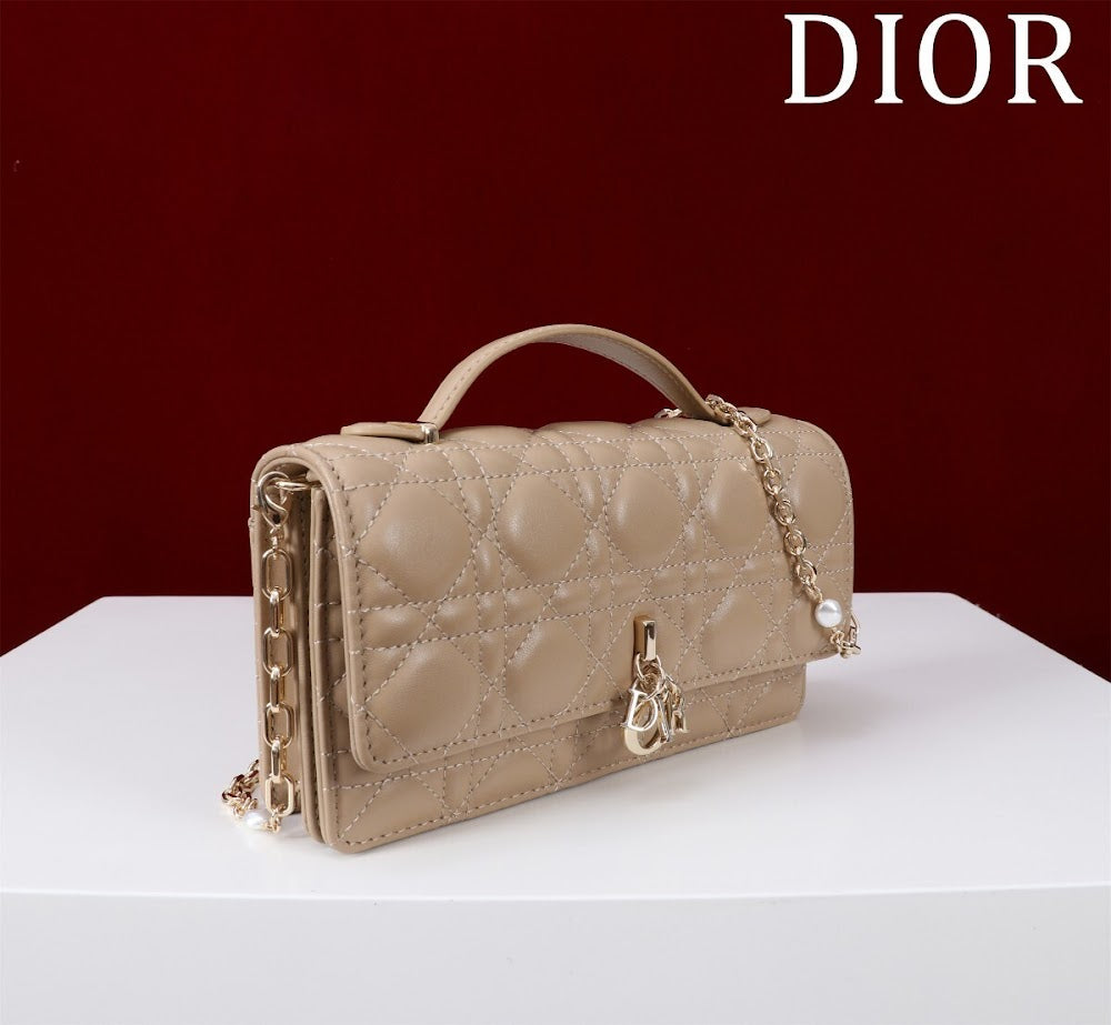 Ezyycart Bags Diorn Luxury Bag --116243