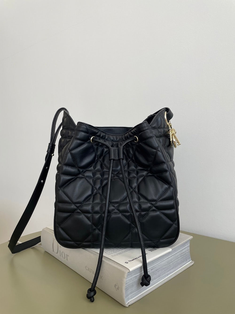 Anum Bags Diorn Luxury Bag --114960