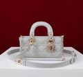 Anum Bags Diorn Luxury Bag --114730