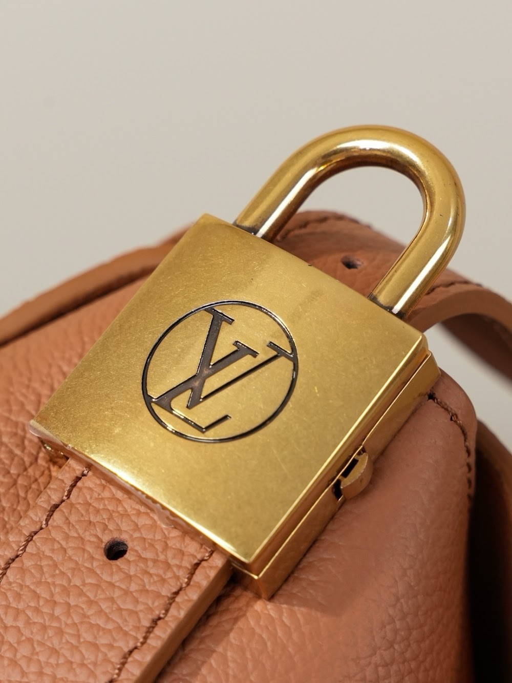 Anum Bags LVn Luxury Bag --79080
