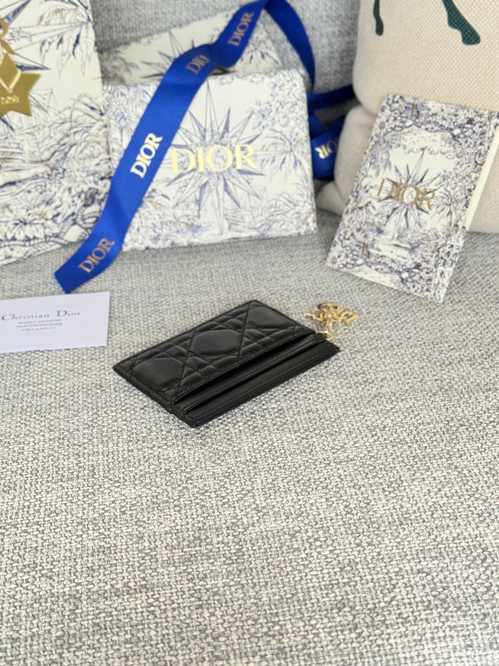 Anum Bags Diorn Luxury Bag --114679