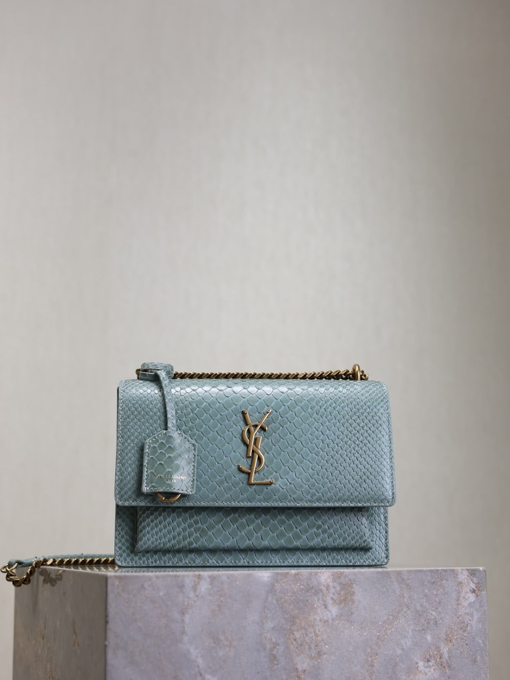 Ezyycart Bags YSLn Luxury Bag --119172