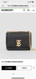 Ezyycart Bags Burberryn Luxury Bag --91665
