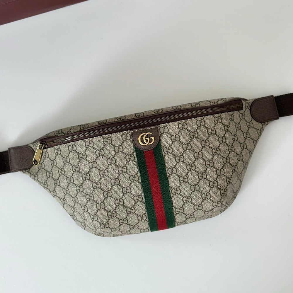 new-elite-designer-bags-nm18397