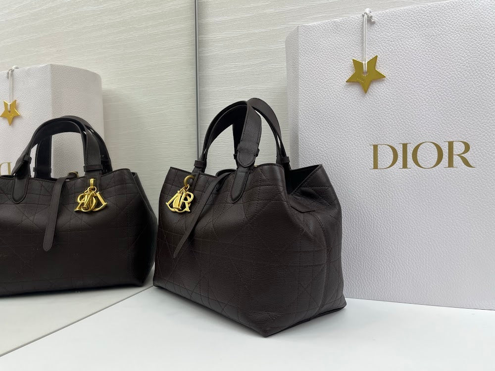 Ezyycart Bags Diorn Luxury Bag --115388