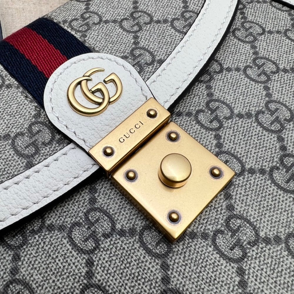 Ezyycart Bags Guccin Luxury Bag --95455