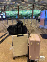 Ezyycart Bags new-elite-designer-bags-nm5475