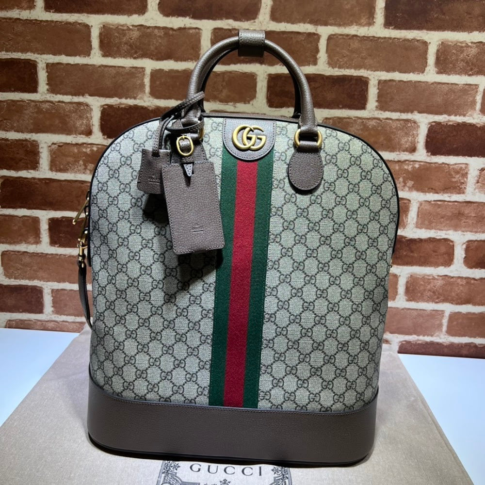 Ezyycart Bags Guccin Luxury Bag --94743