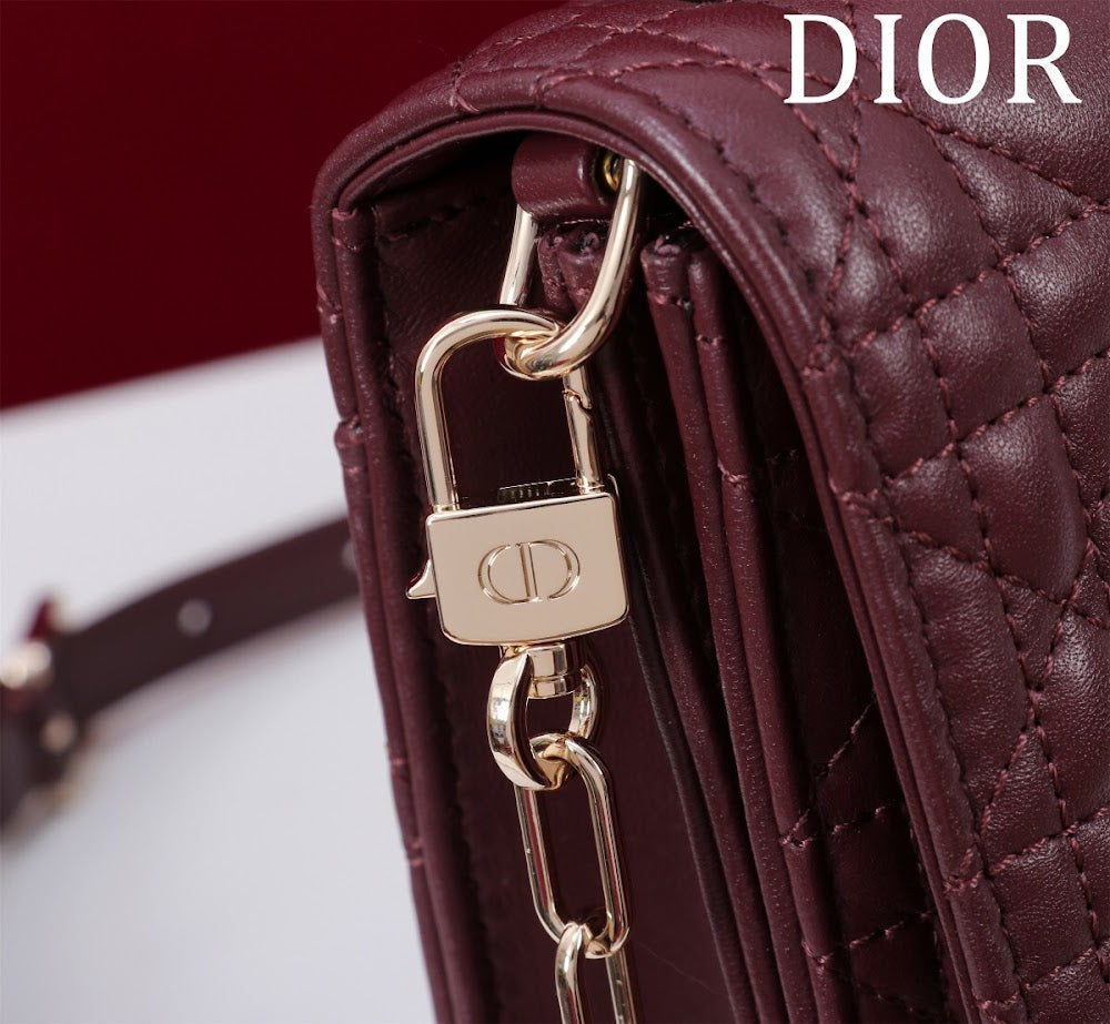 Ezyycart Bags Diorn Luxury Bag --116301